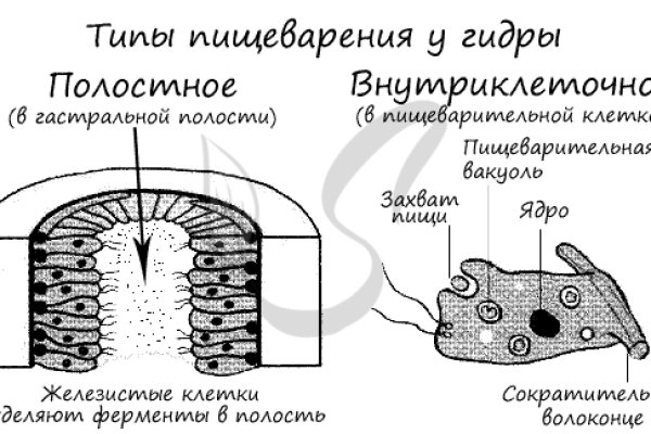 Кракен тор маркет пв
