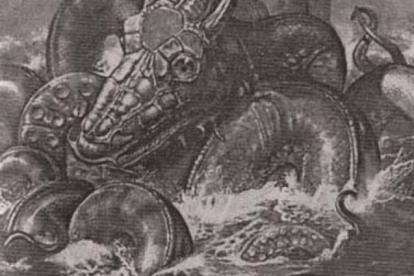 Kraken17 at
