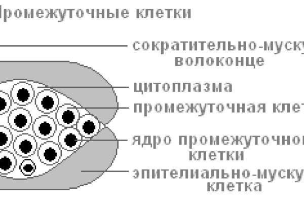 Kraken tor marketplace