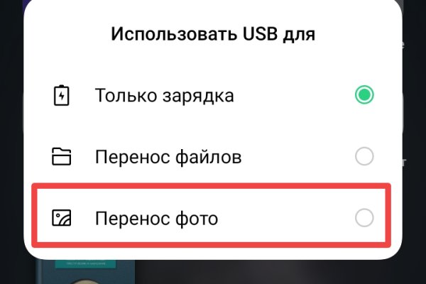 Найти зеркало кракена