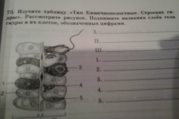 Адрес кракена