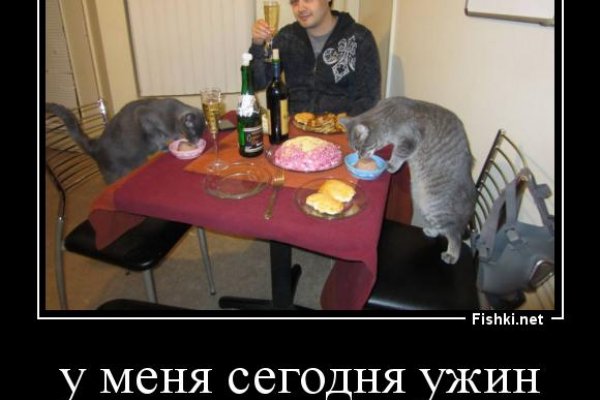 Кракен как зайти через тор браузер