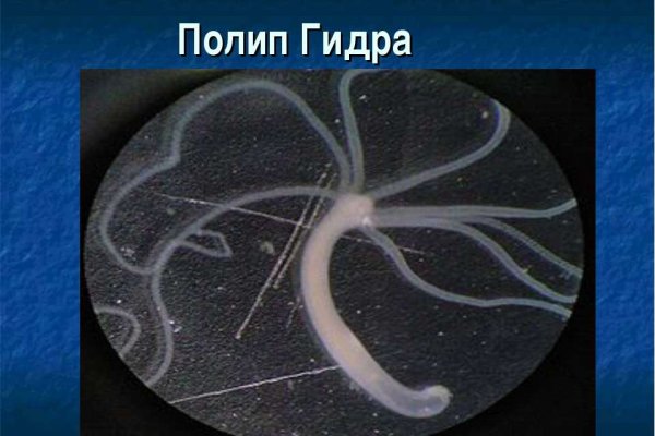 Как найти сайт кракен