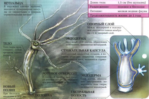 Кракен лого маркетплейс