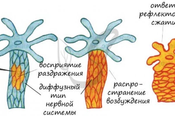 Kra39.at