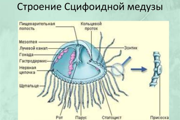 Магазин кракен дарк