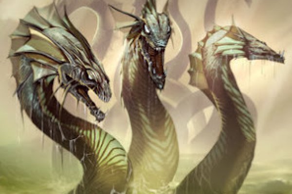 Kraken 19 at